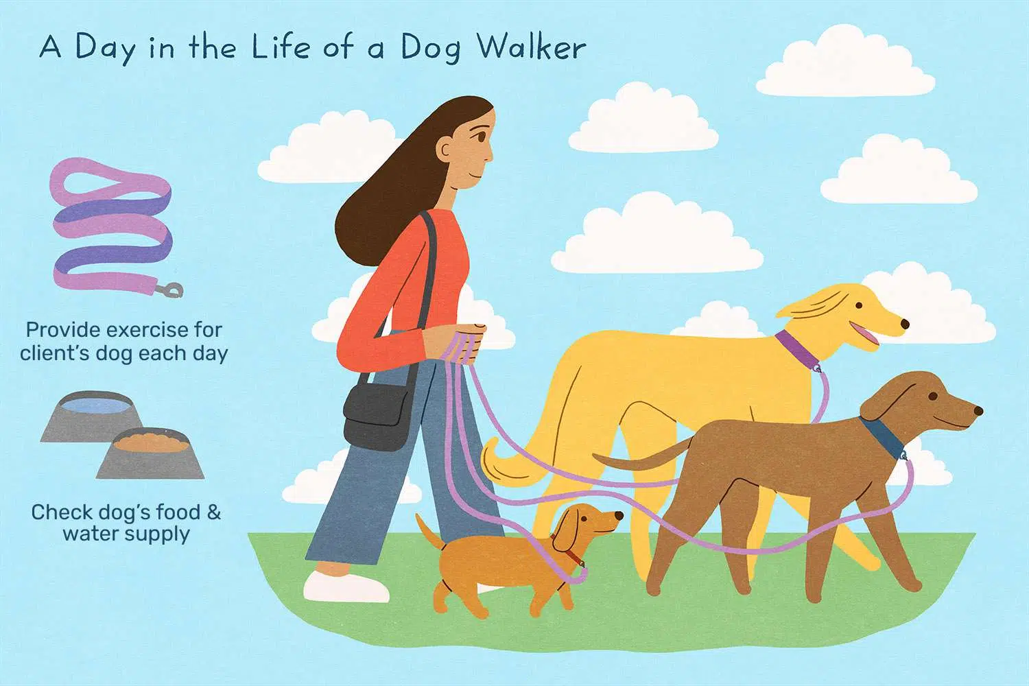 business plan for dog walking